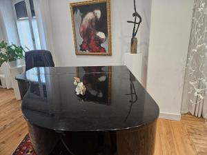 Appartement de charme au coeur de Salies de Béarn- Art, musique et lumière au confort premium