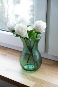 Garden Rogatka - comfortable accomodation near main station