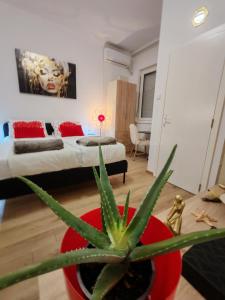 Central cozy cute studio