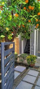 Iridas House