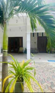 Delmar Homestay