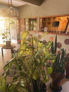 HOTEL IVATO , Airport