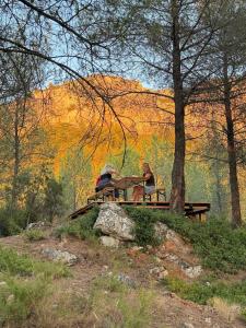 Le Cyprès La Parette Typical Provençal space