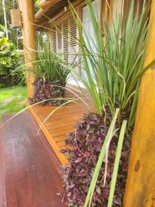 Casa Jacaranda Trancoso