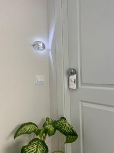 La Romantique Rooms and Apartments TROPEA