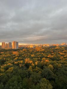 Стильна квартира з домашнім кінотеатром та кухнею з панорамним видом, ліфт та вода безперебійно