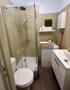 ViP Apartment Krakow