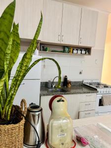 Full apartment in a residential neighborhood of Iguazú