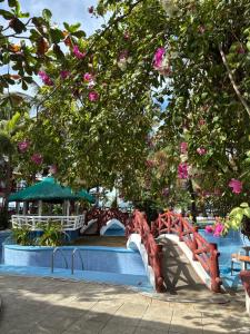 Hollywood Beachfront Bed & Breakfast