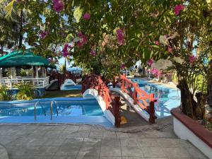 Hollywood Beachfront Bed & Breakfast