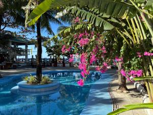 Hollywood Beachfront Bed & Breakfast