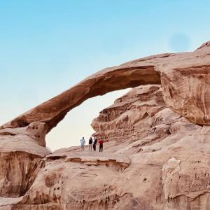 Wadi rum trips