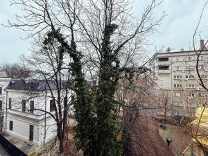 Grace - Old Town I Free street parking I Balcony