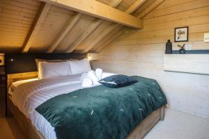 Warm modern chalet near ski resort