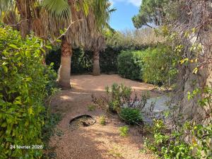 Spacious quiet villa with large swimming pool