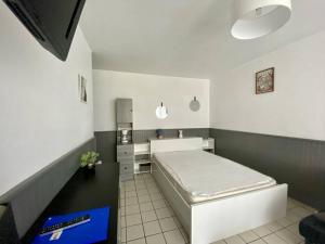 Studio 2 personnes, terrasse fermée, animaux tolérés, proche parking – Cambo-les-Bains - FR-1-495-63