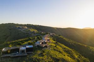 Mantis Hiddn in Addo