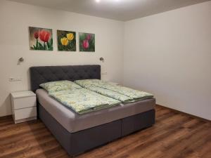 Ferienwohnung Felsenblick