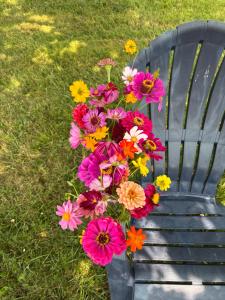 the Birch & Berry Inn