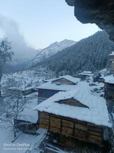 Nature Retreat cottage A frame cabin sainj valley