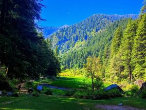 Nature Retreat cottage A frame cabin sainj valley