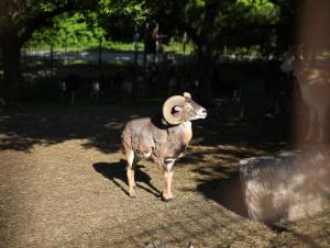 Kleinreiterhof Ferienwohnung Gleißner