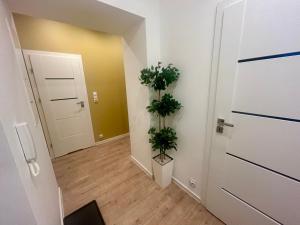 Apartment Targowa L10