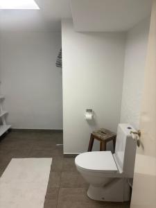 Herregårdslejlighed