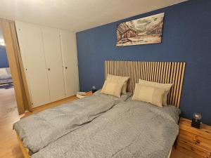 Magnifique appartement rénové à Leukerbad