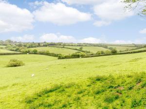 1 Bed in Diptford 88098