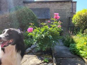 2 Bed in Kirkby Stephen oc-sz144