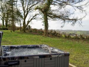 4 Bed in Bancyffordd 66640