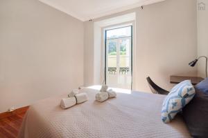 Central apartment in Avenida - City Center