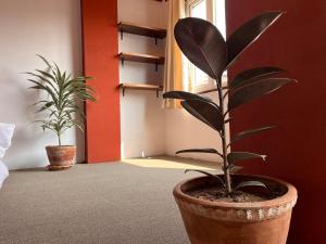 Samantabhadrī Ãvāsa