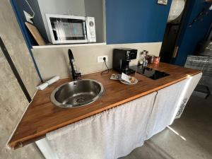 Nouveauté - Le Voyage en Ballon