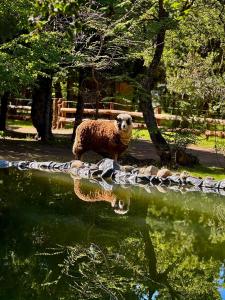 Casa Terraplen con tina privada y vista a la laguna