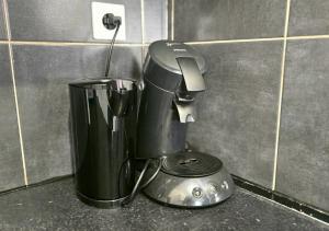 Appartement Sélestat centre