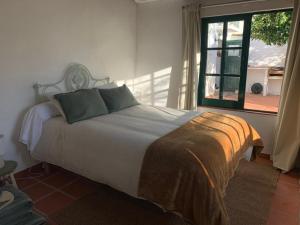 Pisco Charming House - Alter Pedroso