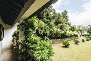 Casa da Cascata