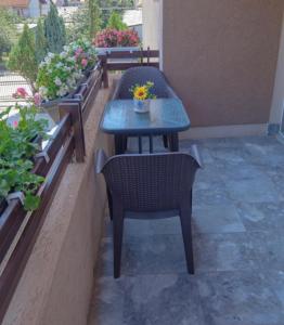 Garden Hostel