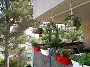 T2 lumineux balcon, parking facile, climatisation, Wi-Fi