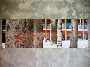 Studio rénové 5 pers. Ski aux pieds avec balcon - FR-1-346-377