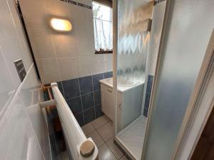 Studio cabine 23 m2, 4 personnes, balcon sud, Les Saisies - FR-1-594-115