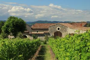 Hotels Le Tresor des Templiers : photos des chambres