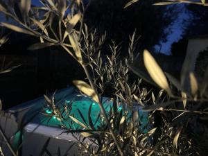 Havre de paix avec piscine & spa - proche Ventoux