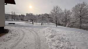 Agroturystyka "Olszynowa Górka"