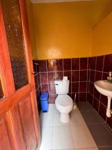 Patacancha Tikawasi By Feliciano