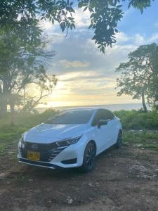 Tipiland baru la casa del mono