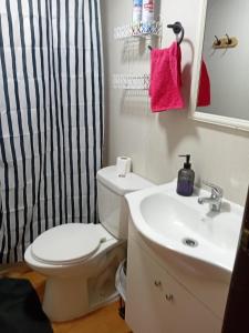 Cabaña Terraza Choshuenco