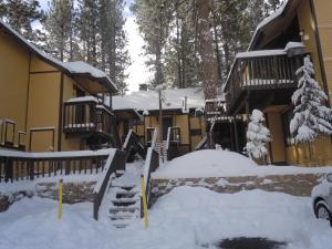 Escape ForSeasons Unit 12